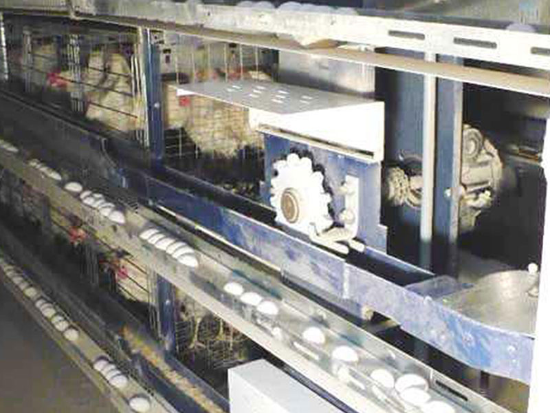 Close-up of an FDI high-lip feed trough and chain