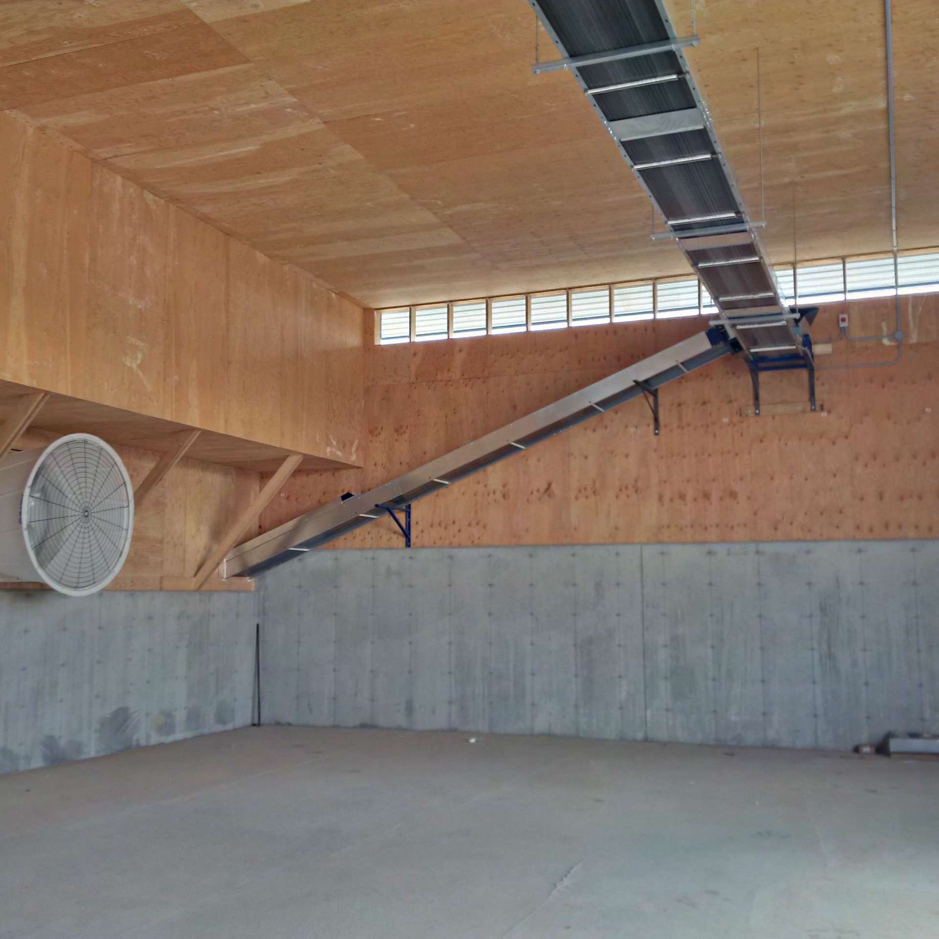 FDI storage building conveyor with spreader