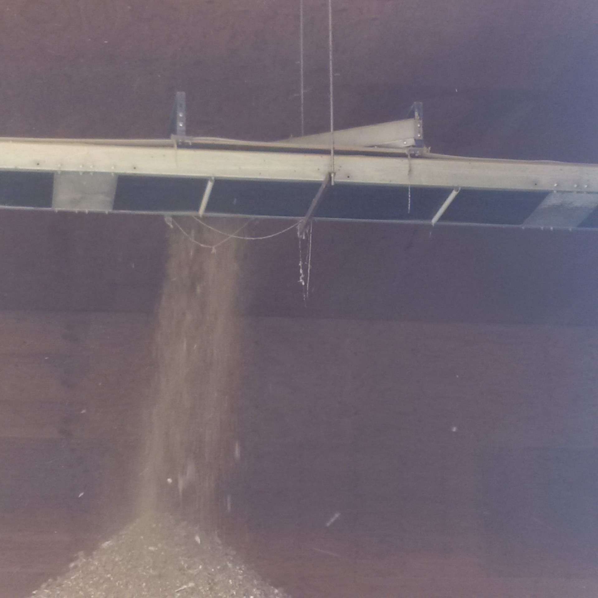 FDI manure conveyor spreader in operation