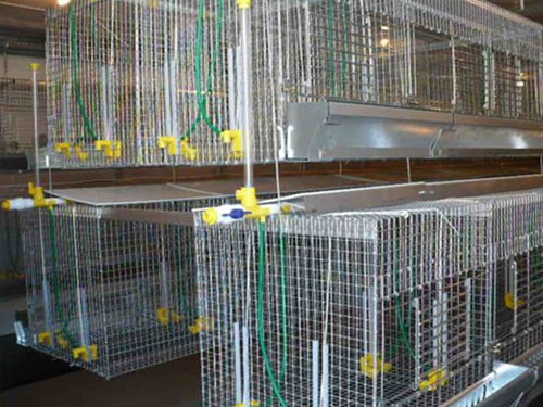 Hanging pullet rearing cages with removable feed trough